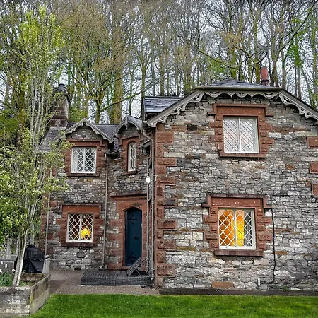 Bluebell At Underley Estate Kirkby Lonsdale