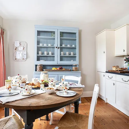 Bluebell At Underley Estate