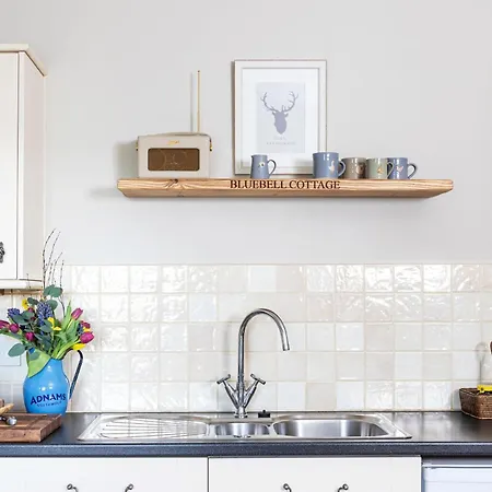 Bluebell At Underley Estate