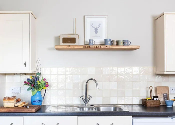 Bluebell At Underley Estate