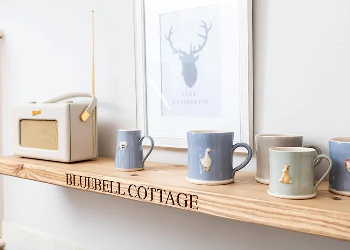 Bluebell At Underley Estate *