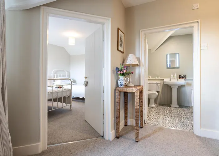 Bluebell At Underley Estate Kirkby Lonsdale