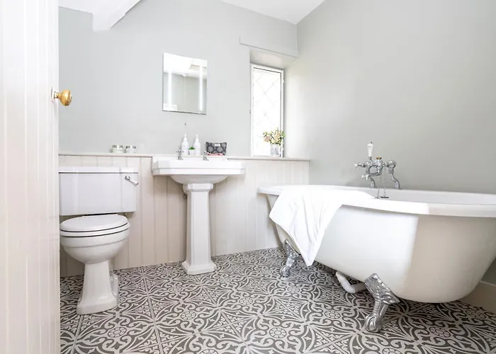 Bluebell At Underley Estate